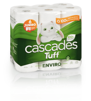 Recycled Paper Towels  Cascades Tuff Enviro Paper Towels