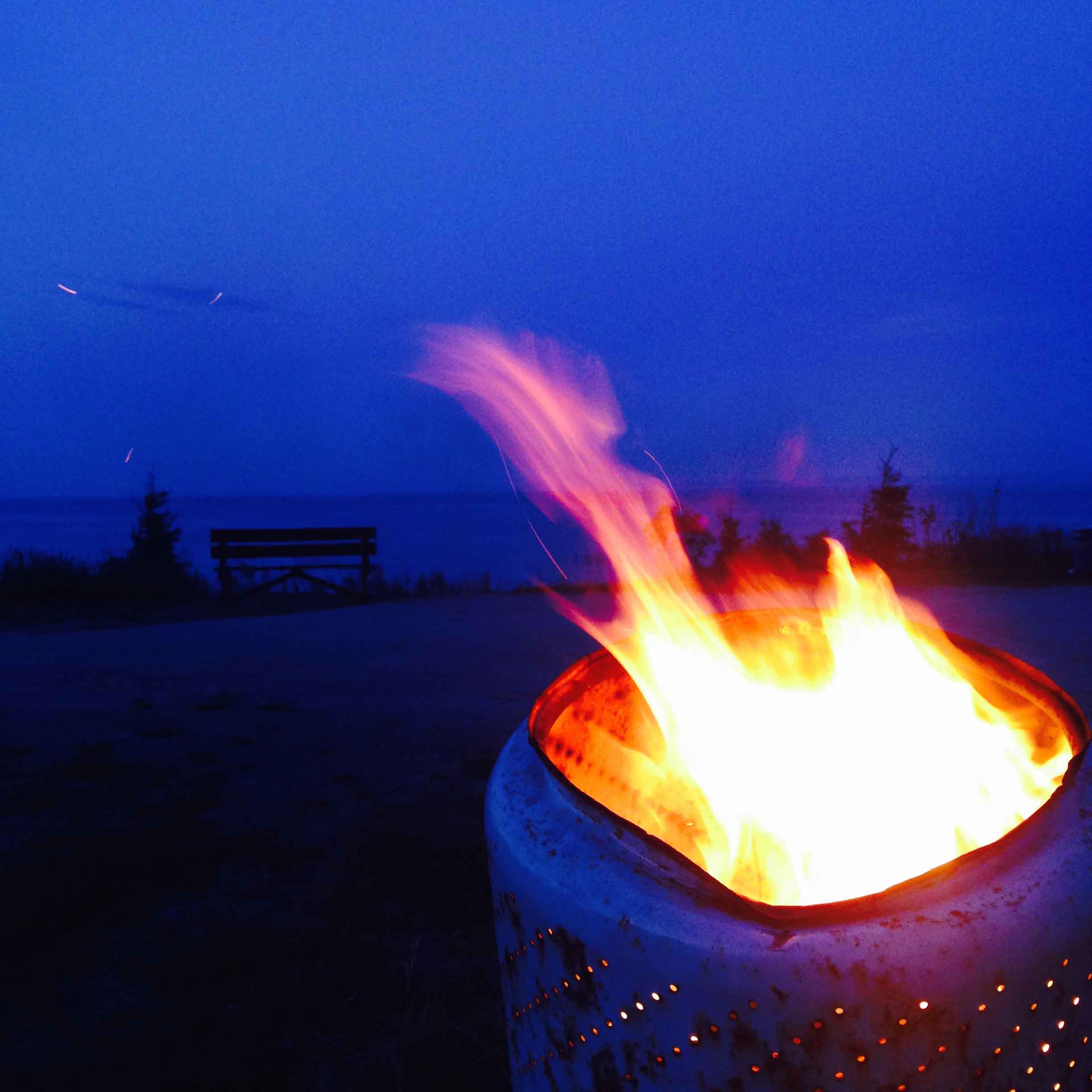 Fire starter from toilet paper rolls