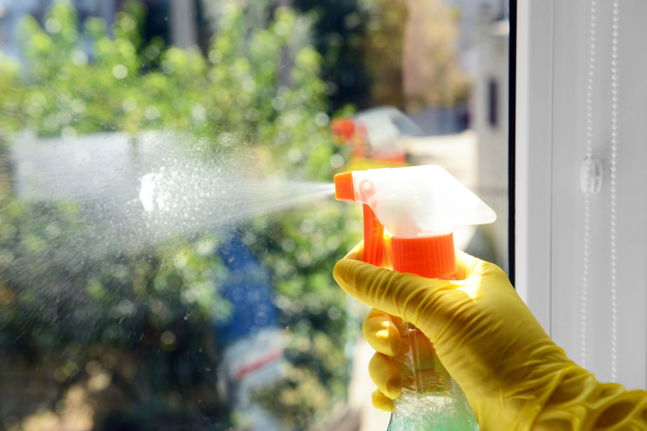 Family activities : Drawing on the windows before their annual cleaning