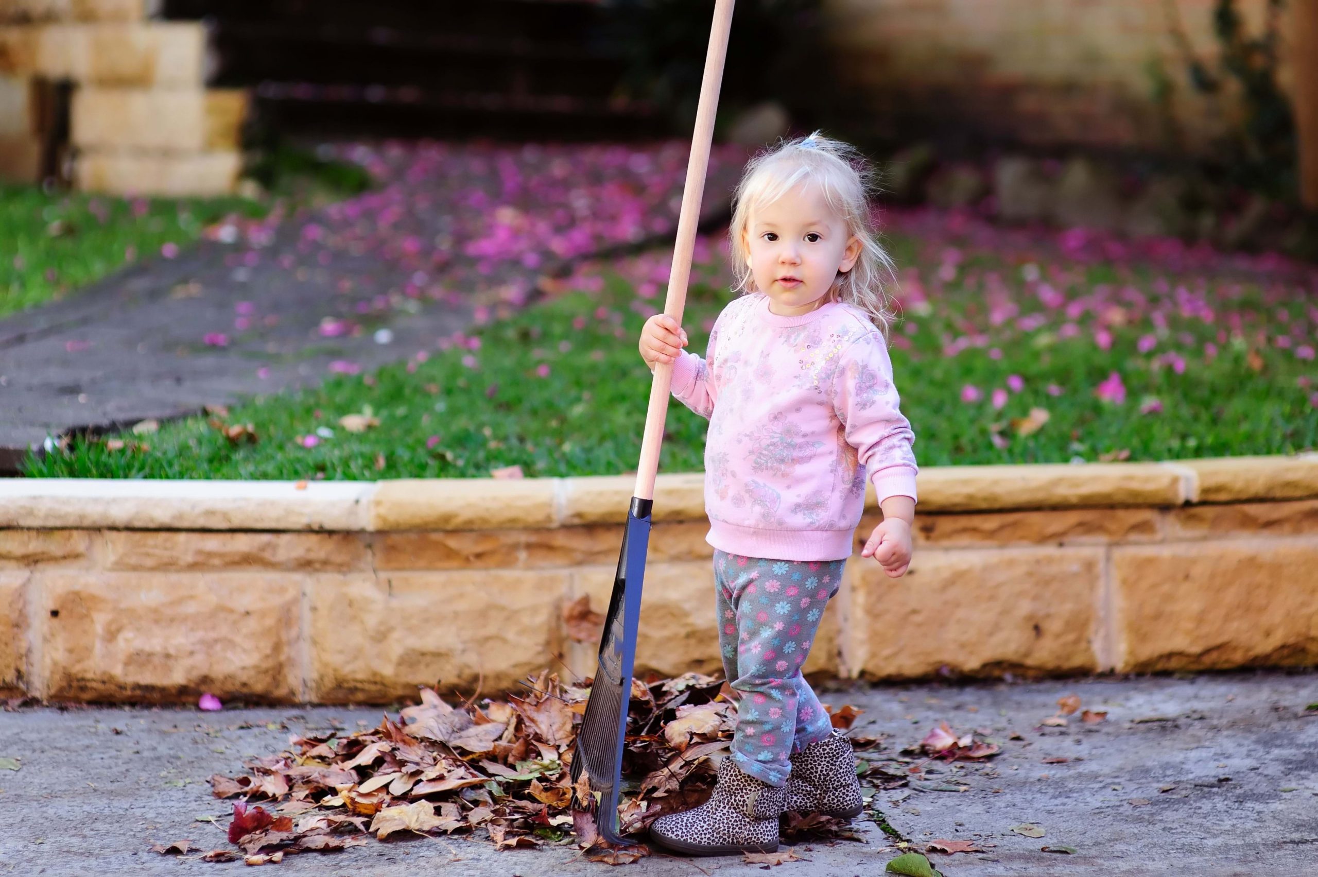 Family activities: Cleaning the yard with your kids