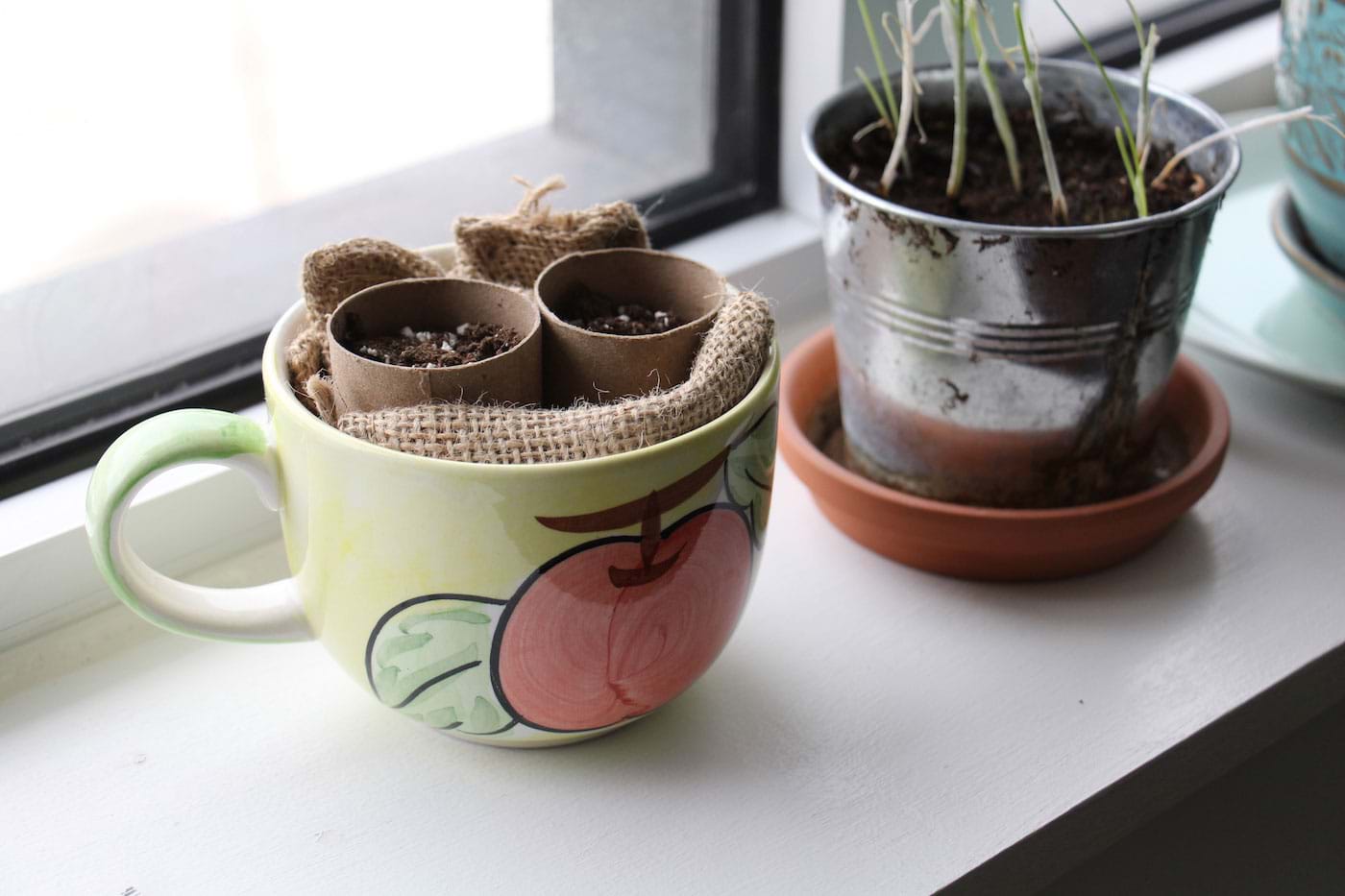 Seeding pots made with toilet paper roll crafts