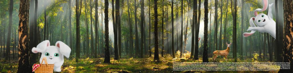 Concours Biodiversité