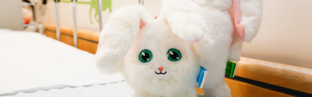 Peluche fluff and tuff store