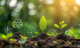 Les trois piliers du développement durable