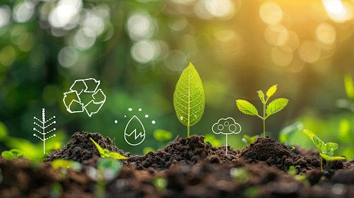 Jardin représentant le pilier environnemental