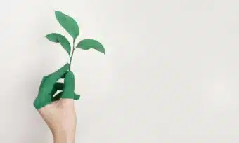 Hand painted green holding a sprout, illustrating a creative environmental commitment.