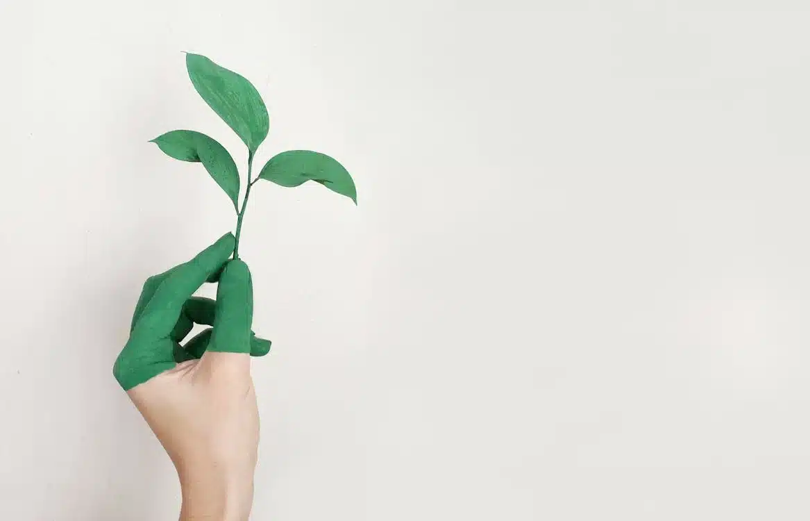 Hand painted green holding a sprout, illustrating a creative environmental commitment.